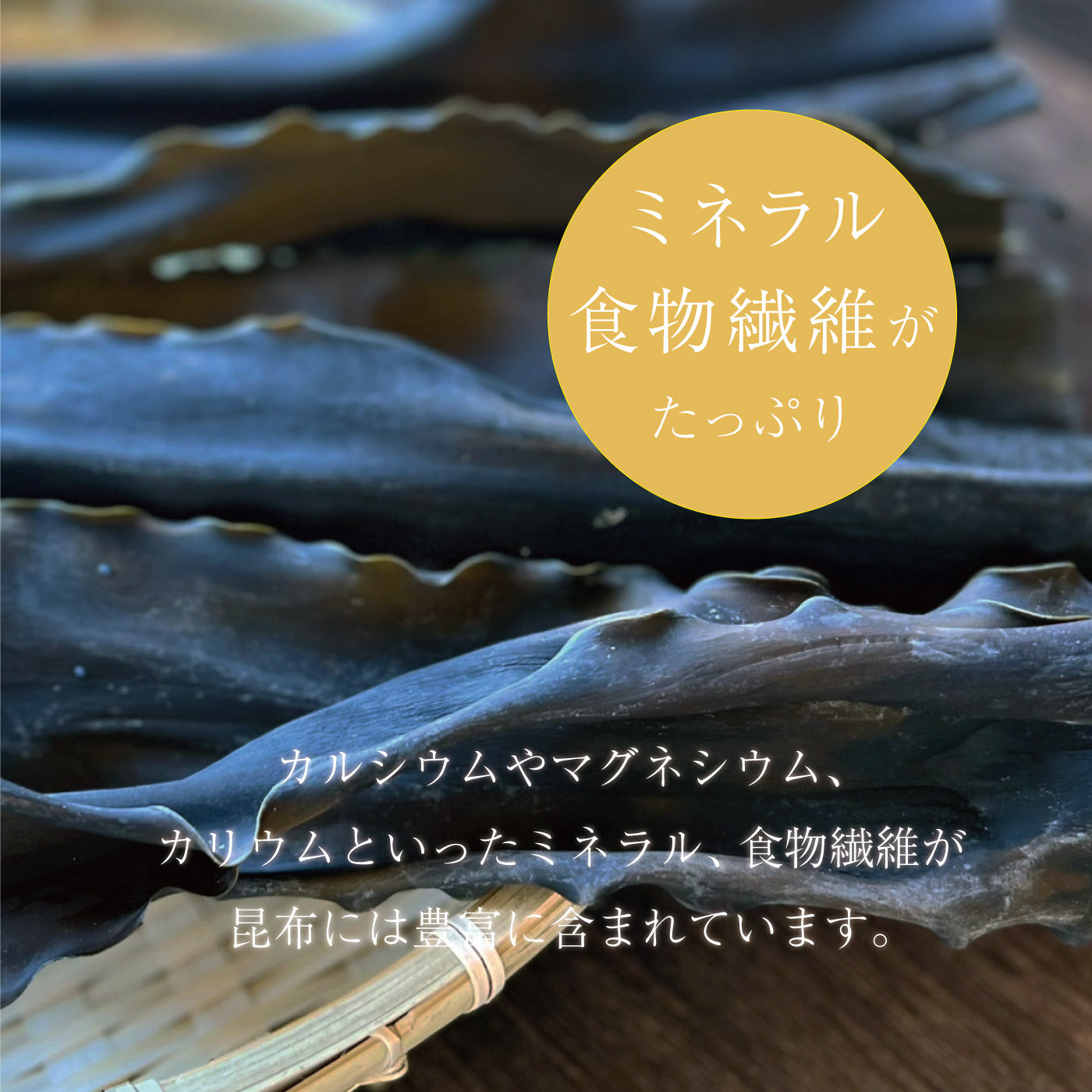 磯の木昆布