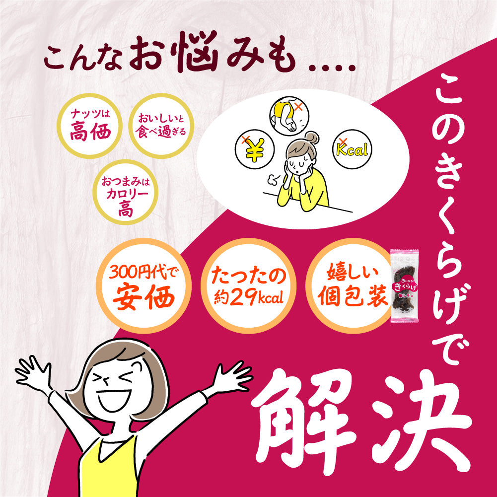 広告限定 きになるきくらげ 梅しそ味 12袋セット