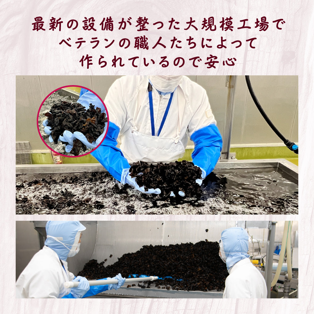 広告限定 きになるきくらげ 梅しそ味 12袋セット