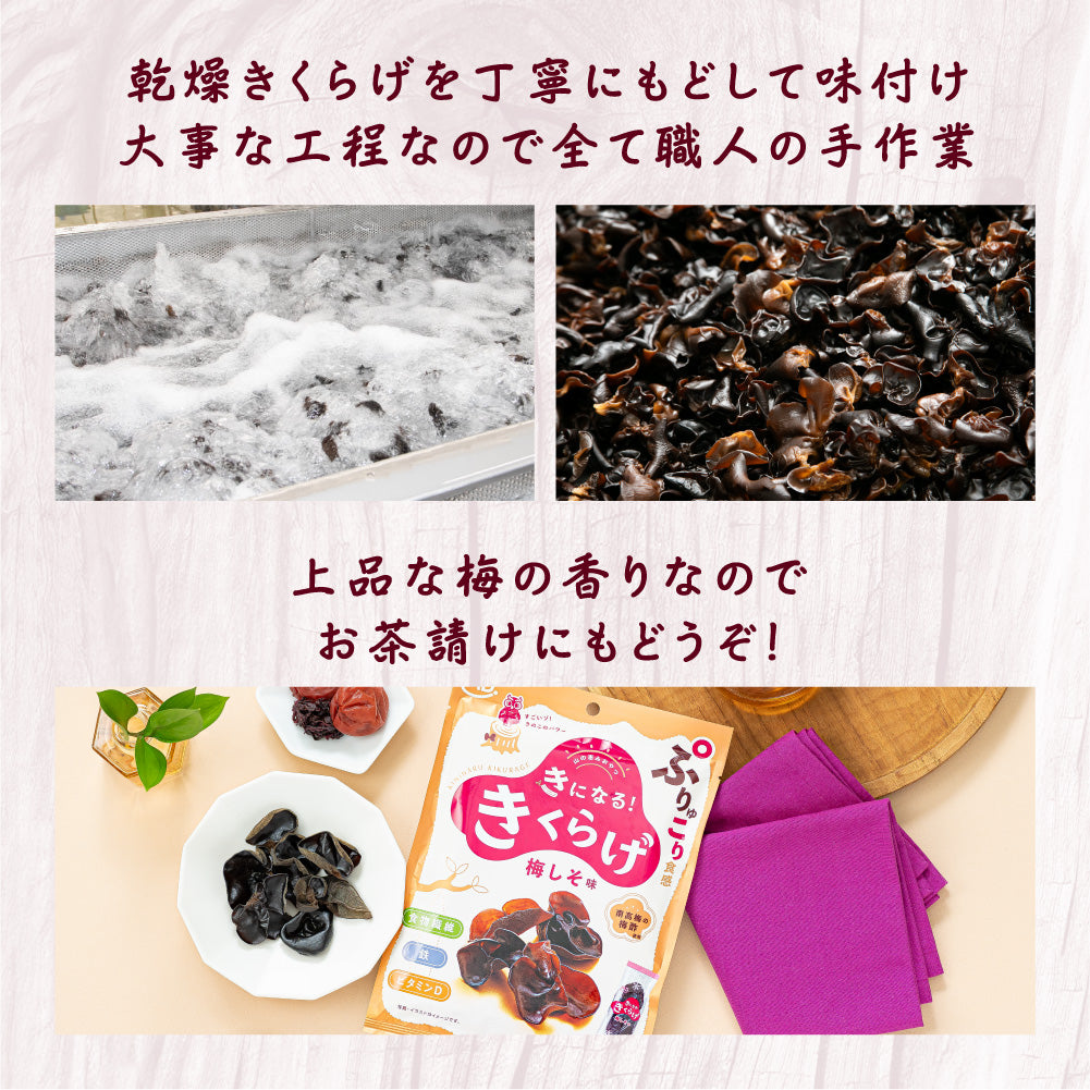 広告限定 きになるきくらげ 梅しそ味 12袋セット