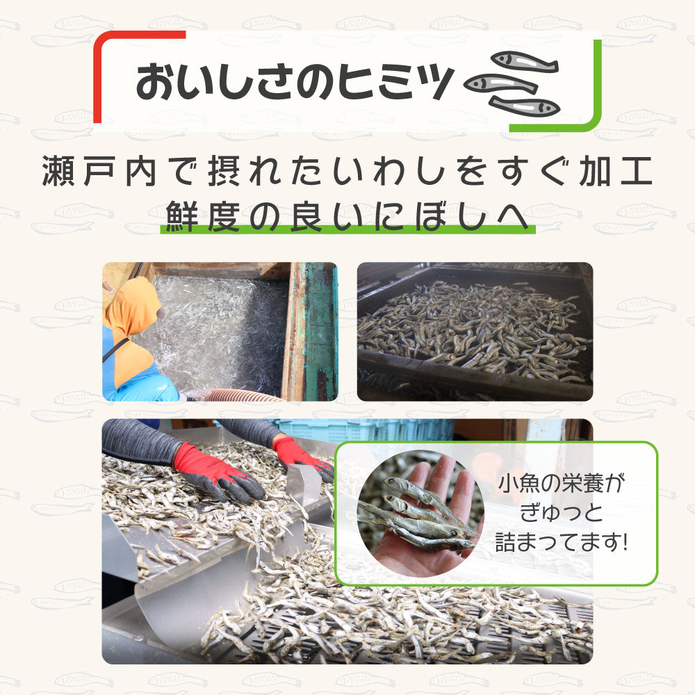 いりこっす