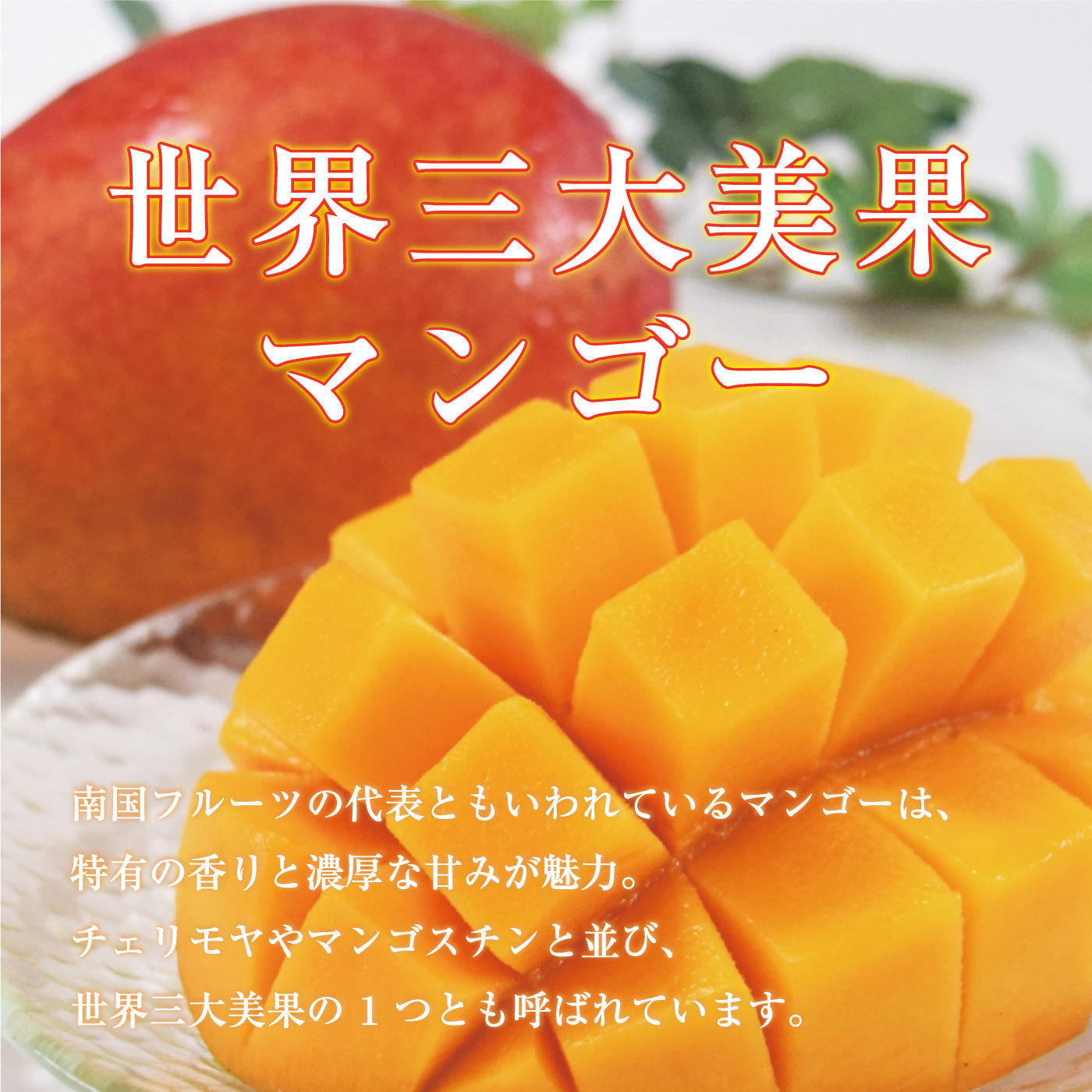 カンボジアドライマンゴー