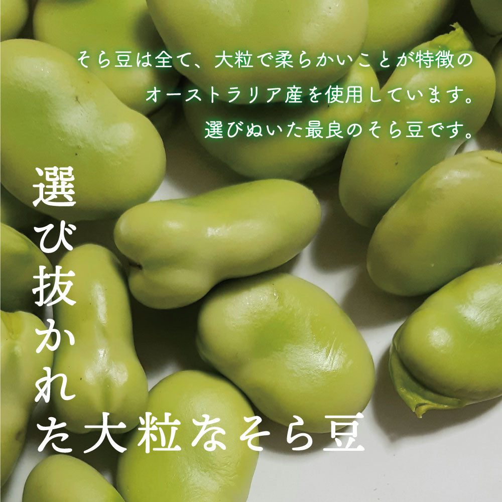 塩そら豆 わさび味 スタンドパック