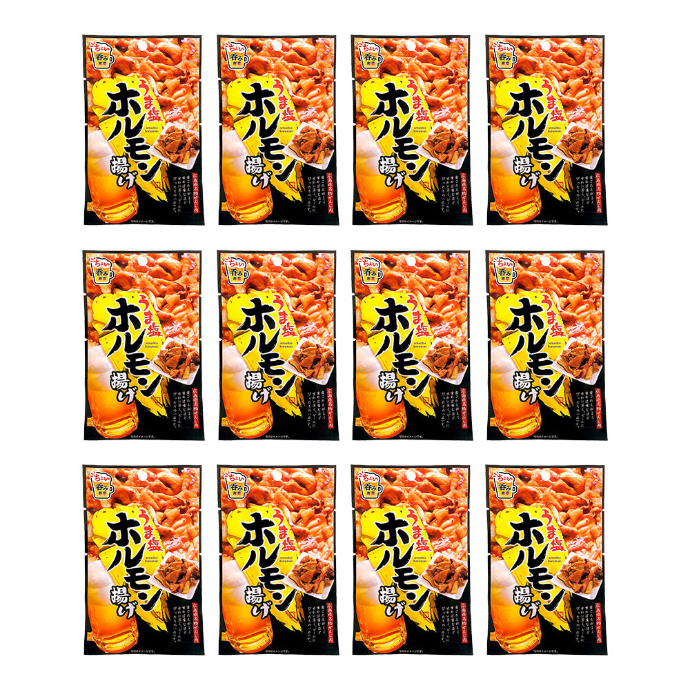 うま塩ホルモン揚げ