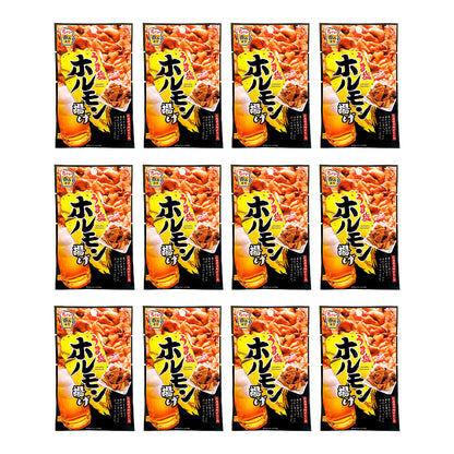 うま塩ホルモン揚げ