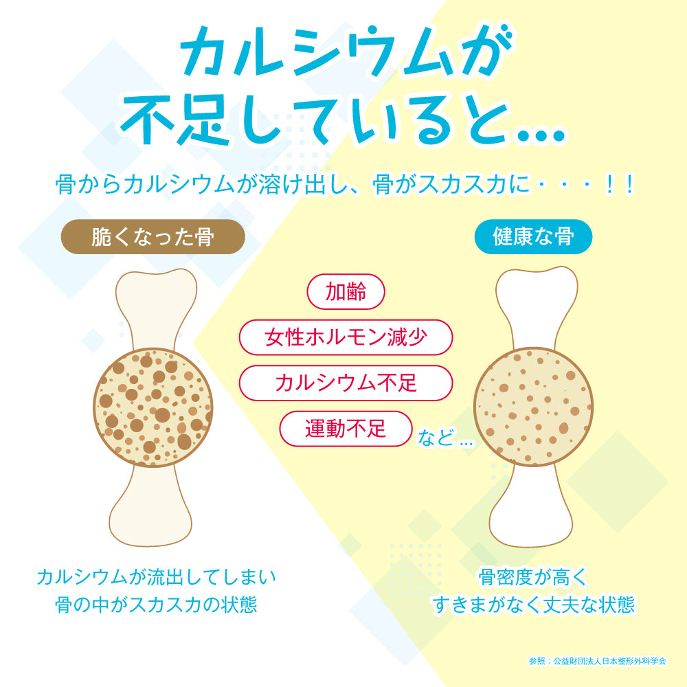 カルシウムアソート 徳用BOX