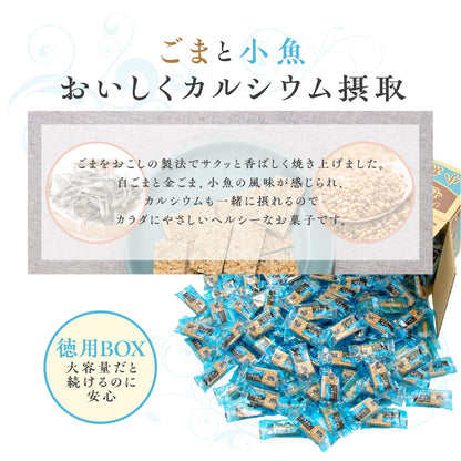 2025夏休み からだプラン ひとくちセサミン 小魚 徳用BOX 超ボリュームセット
