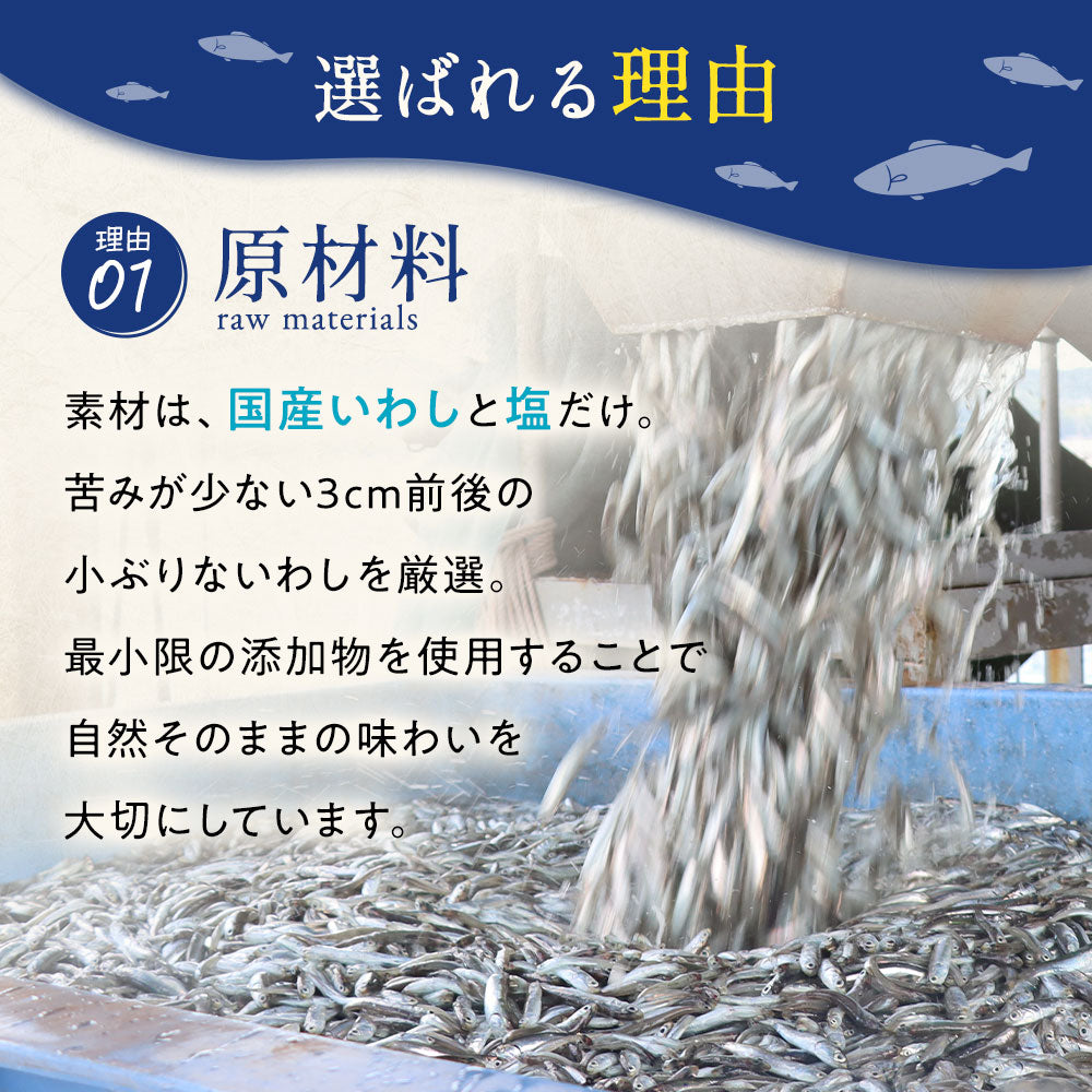 薄焼きいりこせんべい