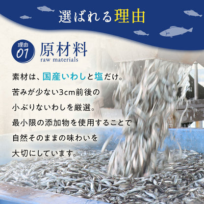 ブラックフライデー 薄焼きいりこせんべい 12袋