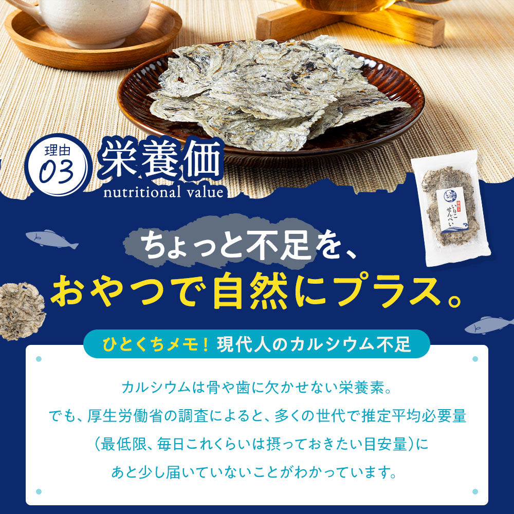 薄焼きいりこせんべい