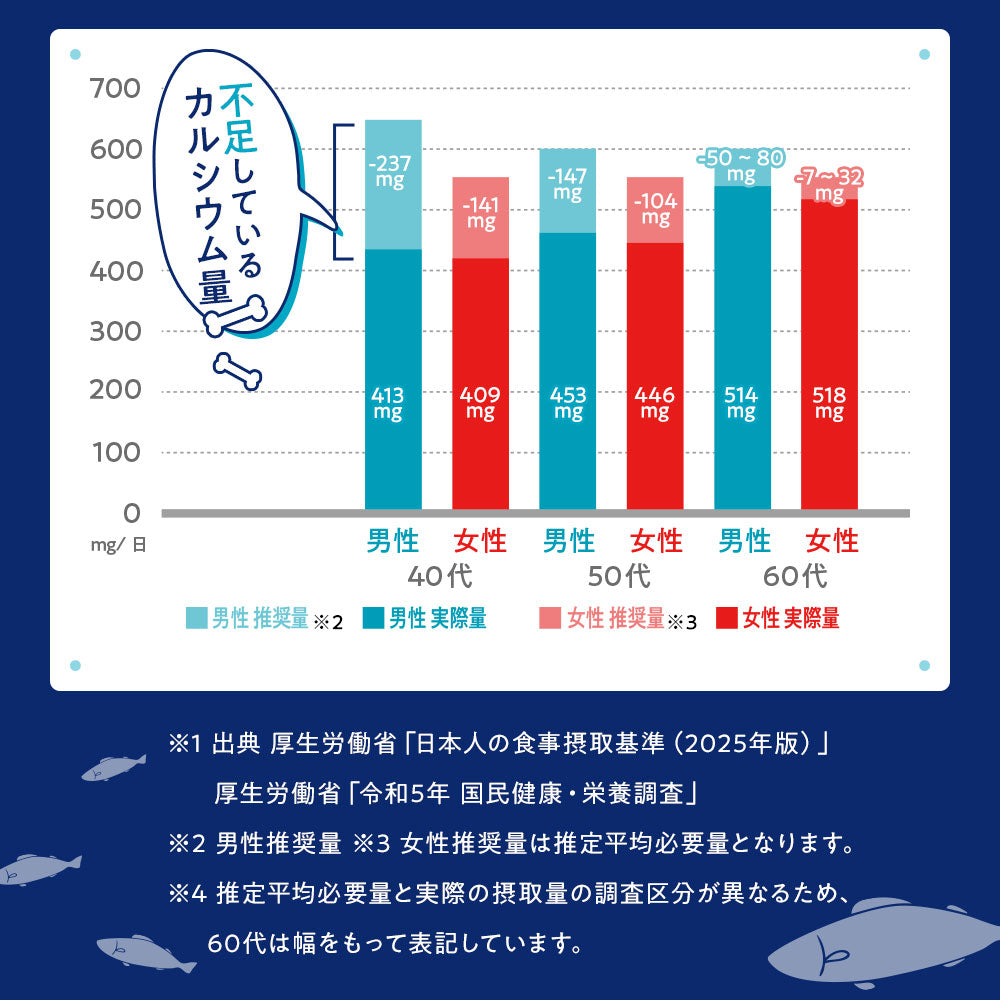ブラックフライデー 薄焼きいりこせんべい 12袋