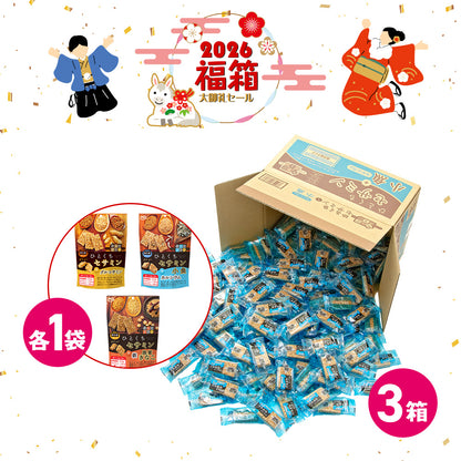 年末年始セール からだプラン ひとくちセサミン 小魚 福箱