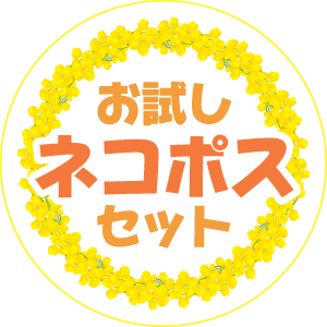 M848_neko-bunner_pc.png__PID:ba0a578e-5cab-4c56-abc7-bf3e6a77289c