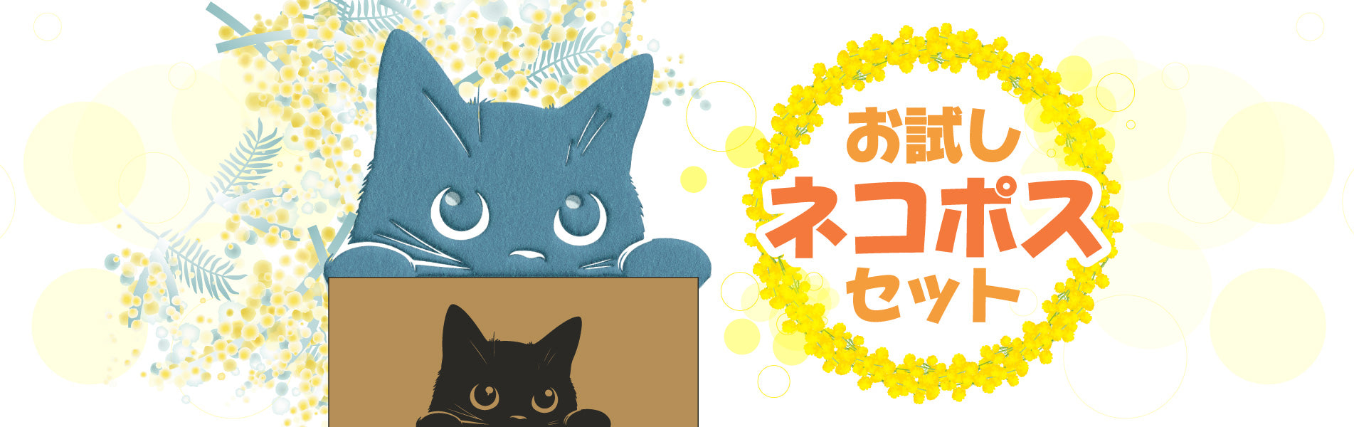 M848_otameshi-nekopos_bunner.jpg__PID:6baeb682-c2b0-49dd-ab1c-bd19ebc240e1