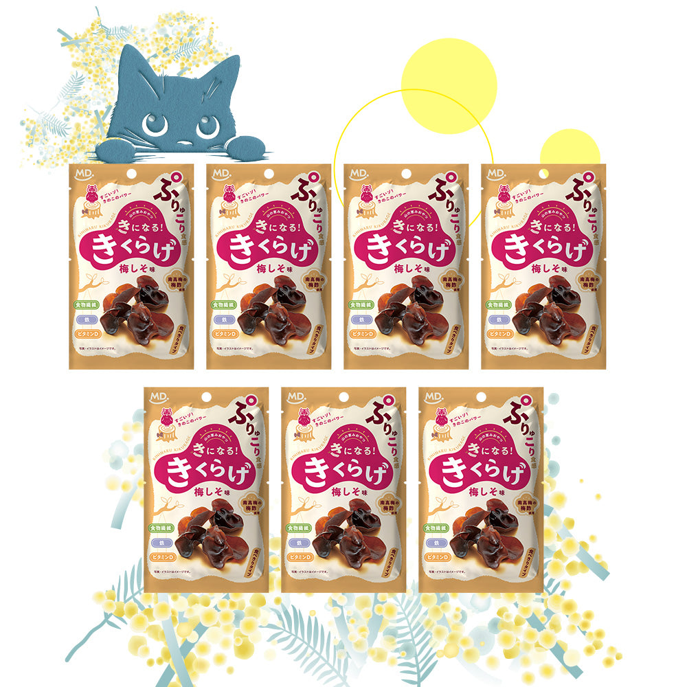きになるきくらげ 梅しそ味 食べきりタイプ お試しネコポスセット