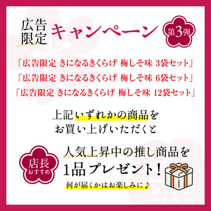 広告限定 きになるきくらげ 梅しそ味 6袋セット