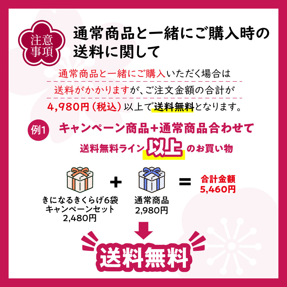 広告限定 きになるきくらげ 梅しそ味 6袋セット