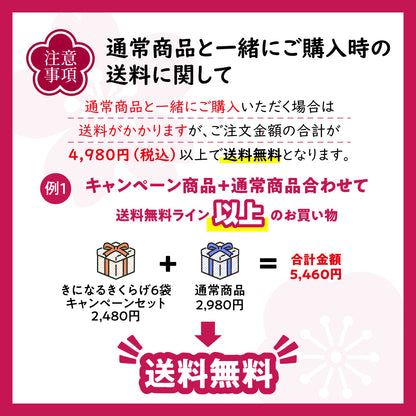 広告限定 きになるきくらげ 梅しそ味 6袋セット