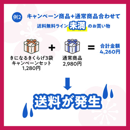 広告限定 きになるきくらげ 梅しそ味 6袋セット